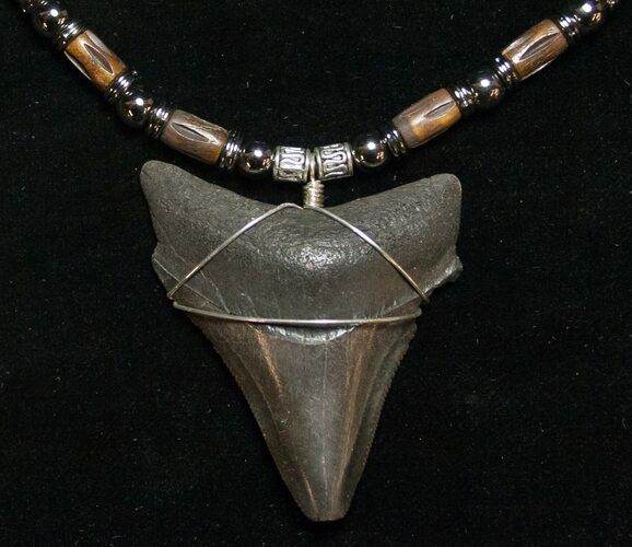 Megalodon Tooth Necklace #8503